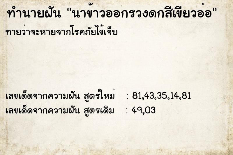 ทำนายฝัน นาข้าวออกรวงดกสีเขียวอ่อ ทำนายฝัน นาข้าวออกรวงดกสีเขียวอ่อ