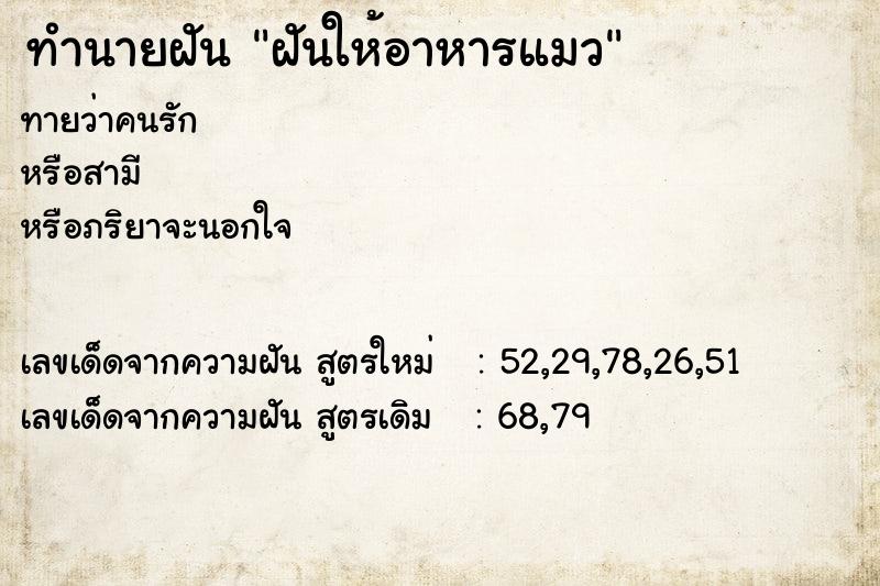 ทำนายฝัน ฝันให้อาหารแมว ทำนายฝัน ฝันให้อาหารแมว