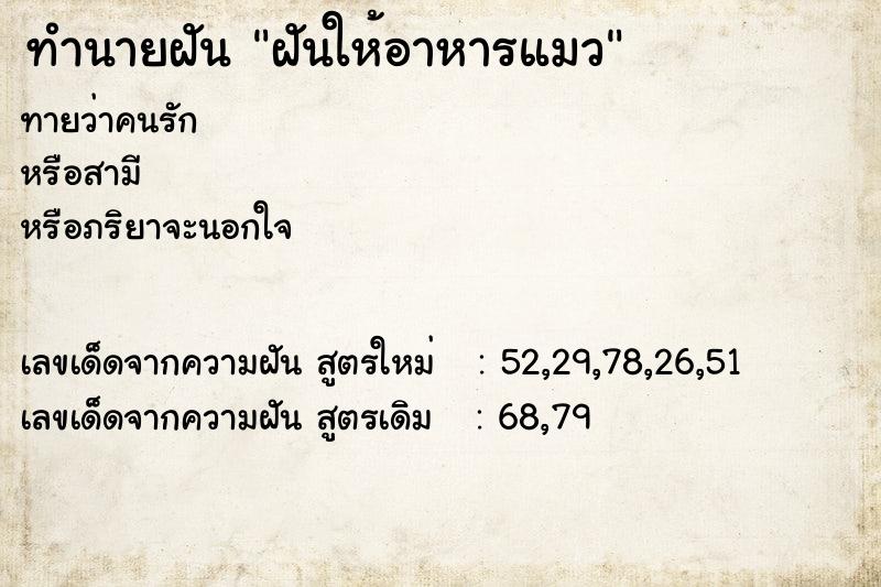 ทำนายฝัน ฝันให้อาหารแมว ตำราโบราณ แม่นที่สุดในโลก