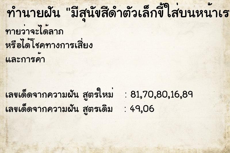 ทำนายฝันทำนายฝันมีสุนัขสีดำตัวเล็กขี้ใส่บนหน้าเรา