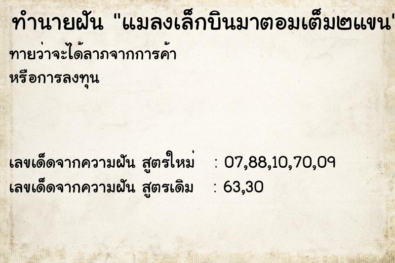 ทำนายฝันแมลงเล็กบินมาตอมเต็ม๒แขน ทำนายฝันทำนายฝันแมลงเล็กบินมาตอมเต็ม๒แขน