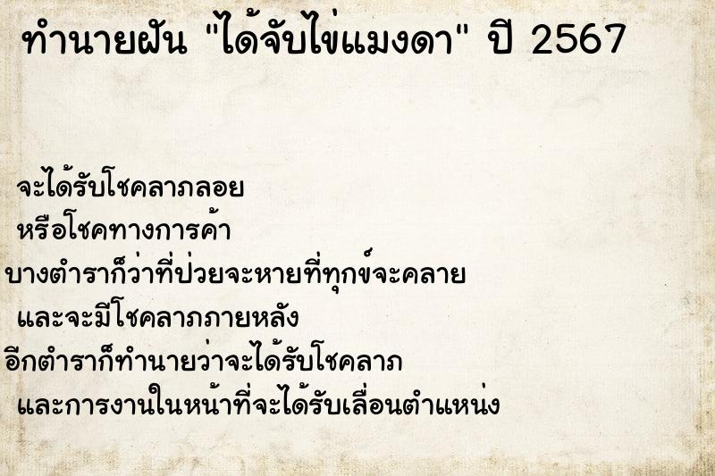 ทำนายฝัน ได้จับไข่แมงดา