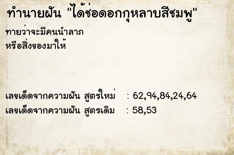 ทำนายฝันได้ช่อดอกกุหลาบสีชมพู ทำนายฝันทำนายฝันได้ช่อดอกกุหลาบสีชมพู