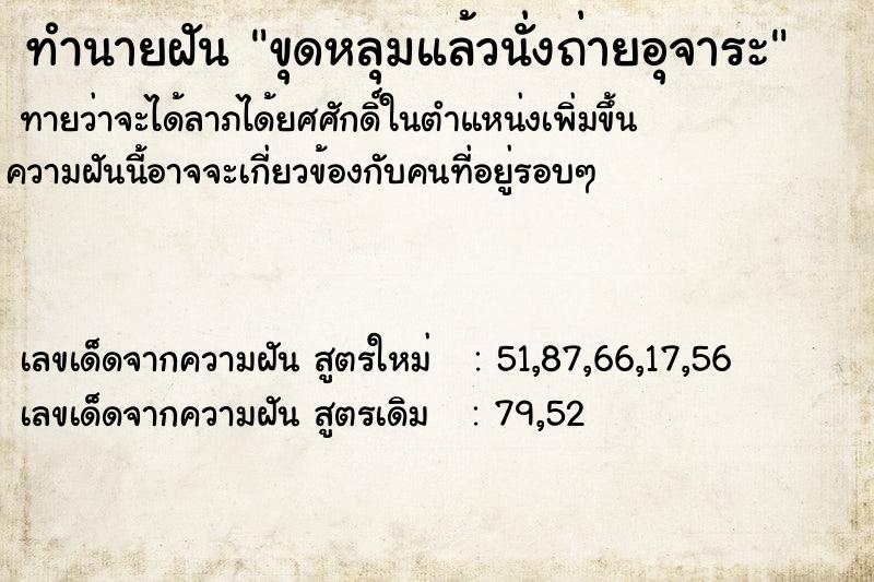 ทำนายฝันขุดหลุมแล้วนั่งถ่ายอุจาระ ทำนายฝันทำนายฝันขุดหลุมแล้วนั่งถ่ายอุจาระ