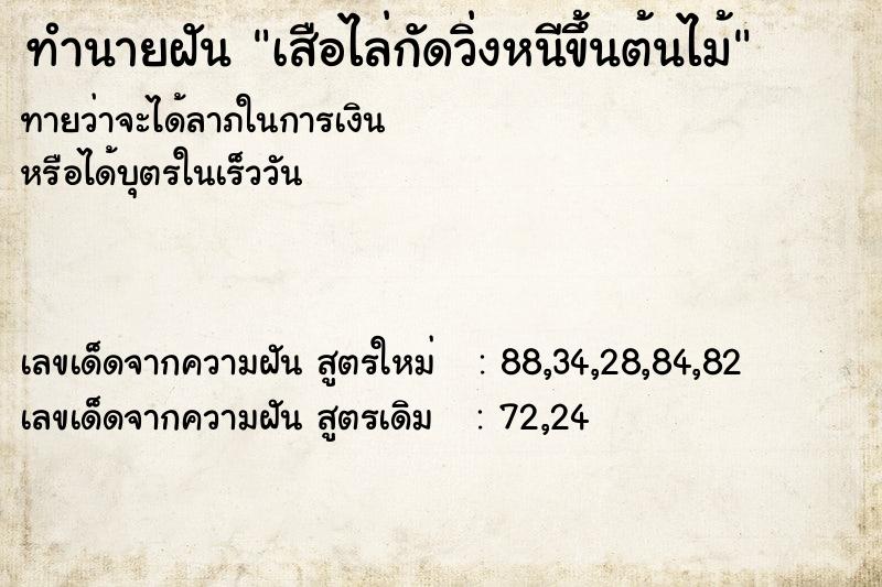 ทำนายฝันทำนายฝันเสือไล่กัดวิ่งหนีขึ้นต้นไม้