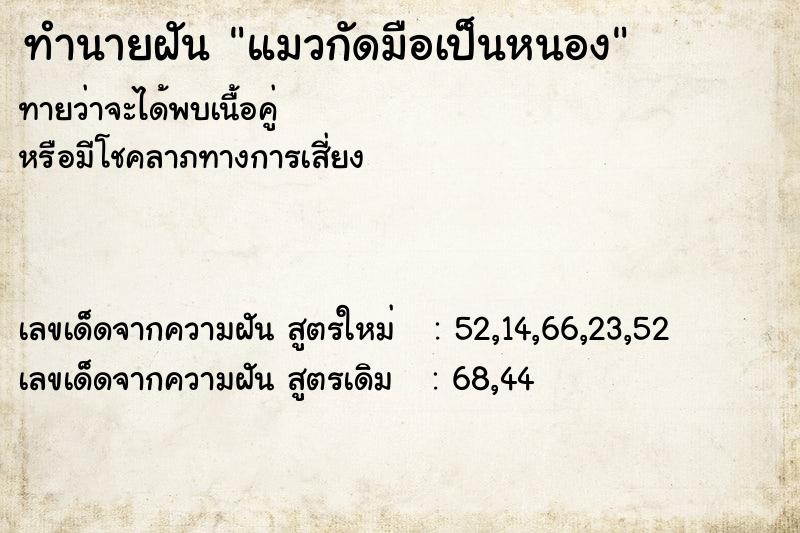 ทำนายฝันแมวกัดมือเป็นหนอง ทำนายฝันทำนายฝันแมวกัดมือเป็นหนอง