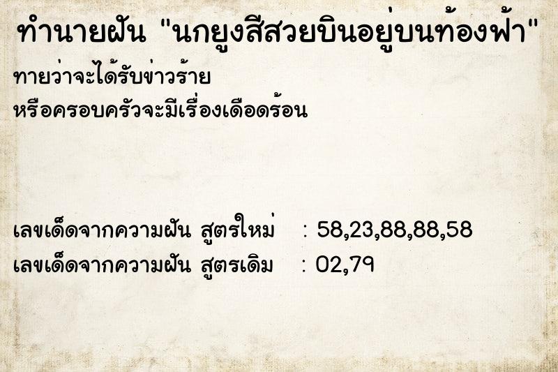 ทำนายฝันนกยูงสีสวยบินอยู่บนท้องฟ้า ทำนายฝันทำนายฝันนกยูงสีสวยบินอยู่บนท้องฟ้า