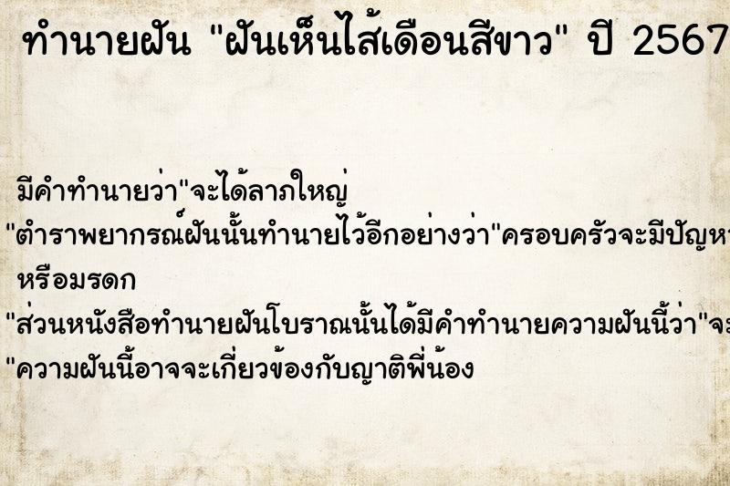 ทำนายฝันฝันเห็นไส้เดือนสีขาว ทำนายฝันทำนายฝันฝันเห็นไส้เดือนสีขาว