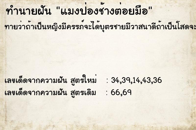 ทำนายฝันแมงป่องช้างต่อยมือ ทำนายฝันทำนายฝันแมงป่องช้างต่อยมือ