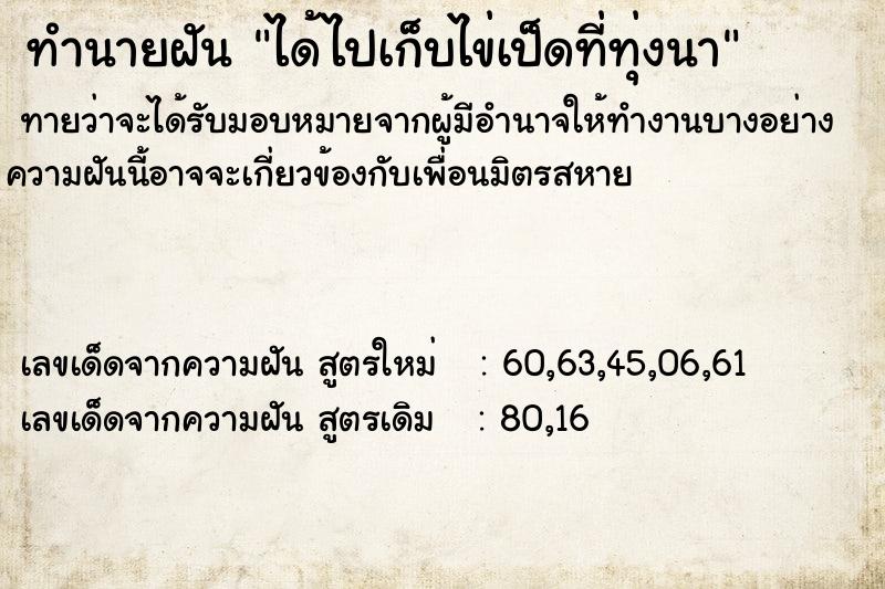 ทำนายฝันทำนายฝันได้ไปเก็บไข่เป็ดที่ทุ่งนา