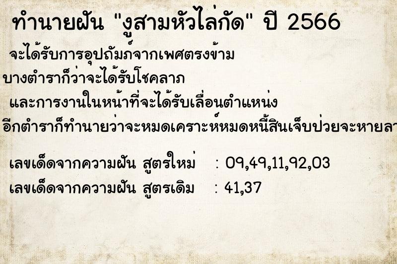 ทำนายฝัน งูสามหัวไล่กัด