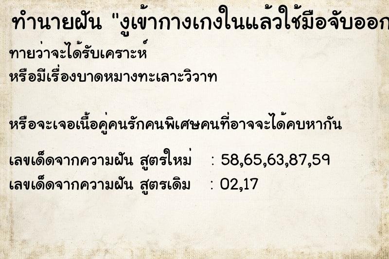 ทำนายฝันทำนายฝันงูเข้ากางเกงในแล้วใช้มือจับออก