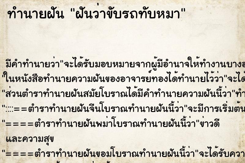 ทำนายฝัน ฝันว่าขับรถทับหมา ทำนายฝัน ฝันว่าขับรถทับหมา
