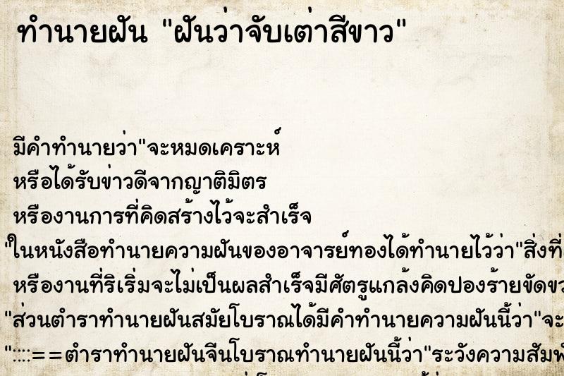ทำนายฝันทำนายฝันฝันว่าจับเต่าสีขาว