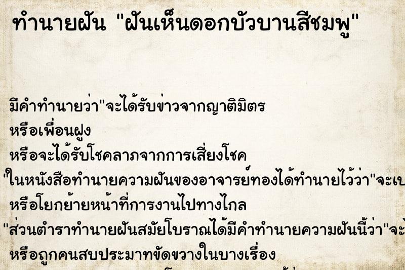 ทำนายฝันฝันเห็นดอกบัวบานสีชมพู ทำนายฝันทำนายฝันฝันเห็นดอกบัวบานสีชมพู