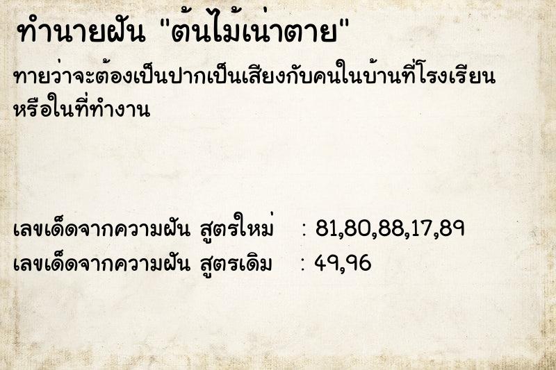 ทำนายฝันต้นไม้เน่าตาย ทำนายฝันทำนายฝันต้นไม้เน่าตาย