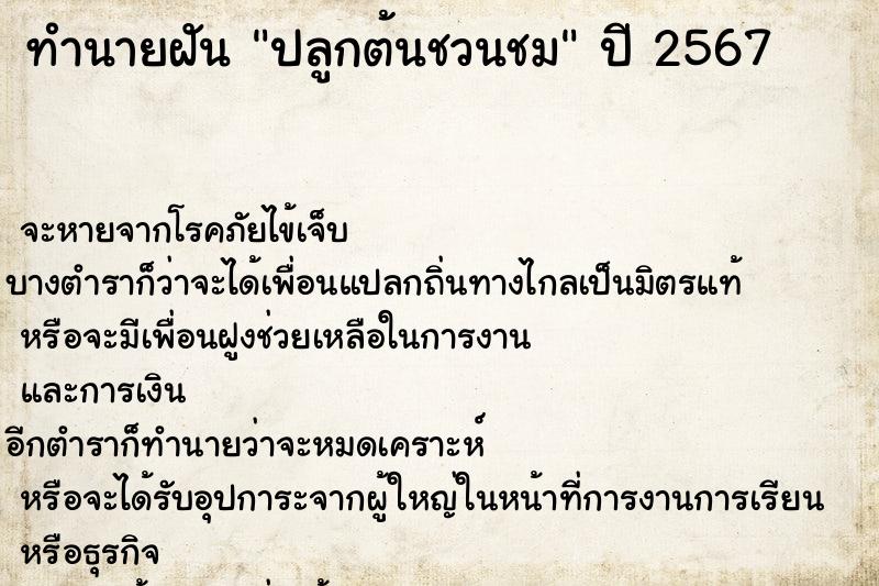 ทำนายฝันทำนายฝันปลูกต้นชวนชม