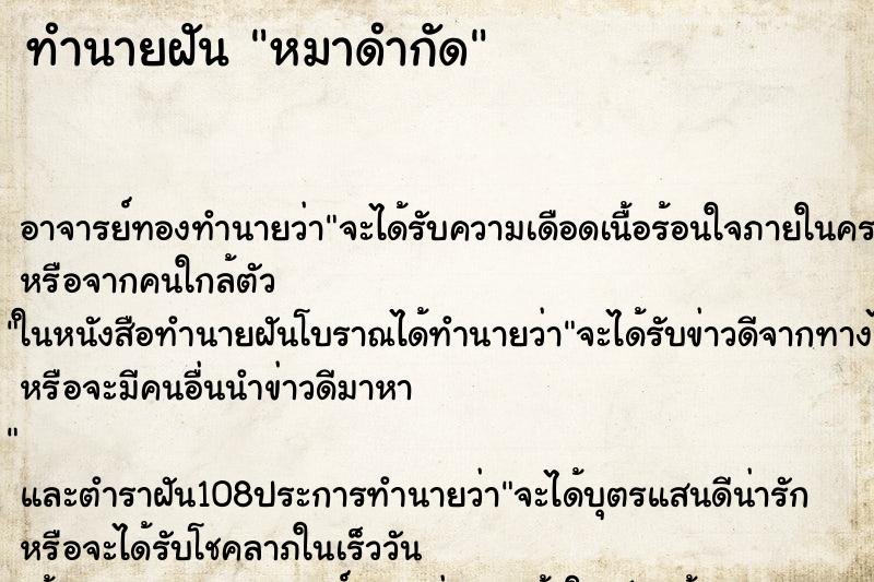 ทำนายฝัน หมาดำกัด ตำราโบราณ แม่นที่สุดในโลก