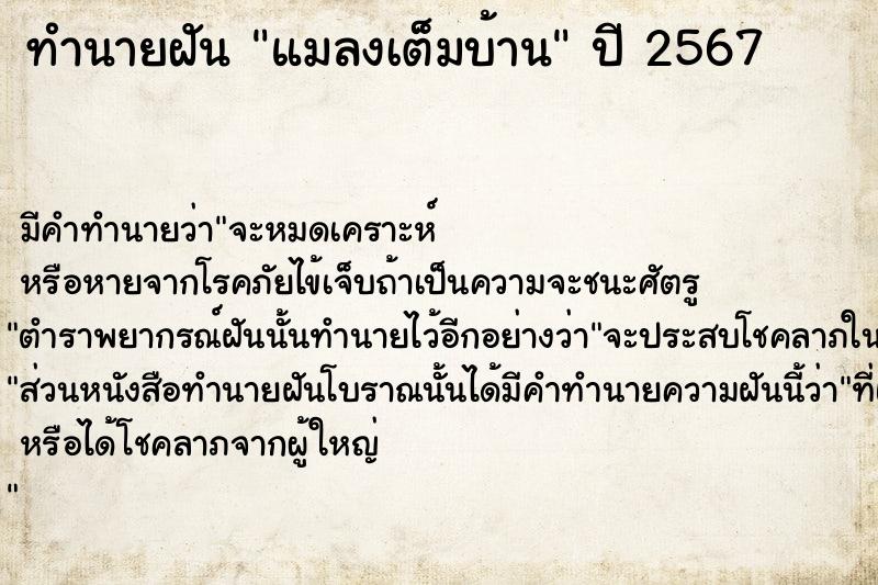 ทำนายฝัน แมลงเต็มบ้าน ตำราโบราณ แม่นที่สุดในโลก