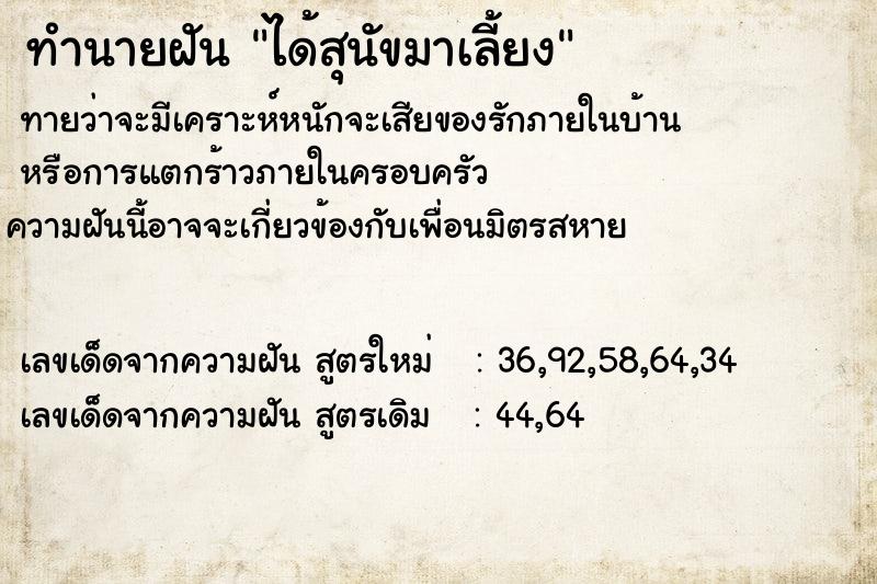 ทำนายฝันได้สุนัขมาเลี้ยง ทำนายฝันทำนายฝันได้สุนัขมาเลี้ยง