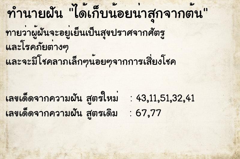 ทำนายฝันทำนายฝันได้เก็บน้อยน่าสุกจากต้น