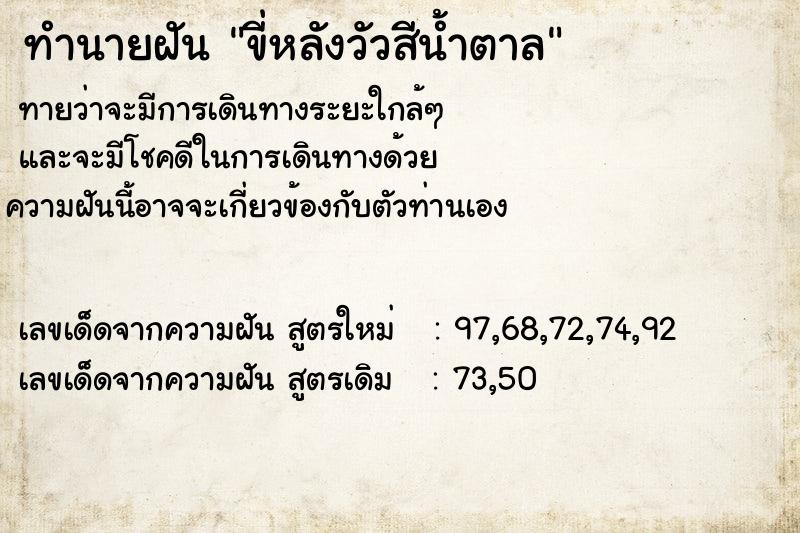 ทำนายฝัน ขี่หลังวัวสีน้ำตาล ทำนายฝัน ขี่หลังวัวสีน้ำตาล