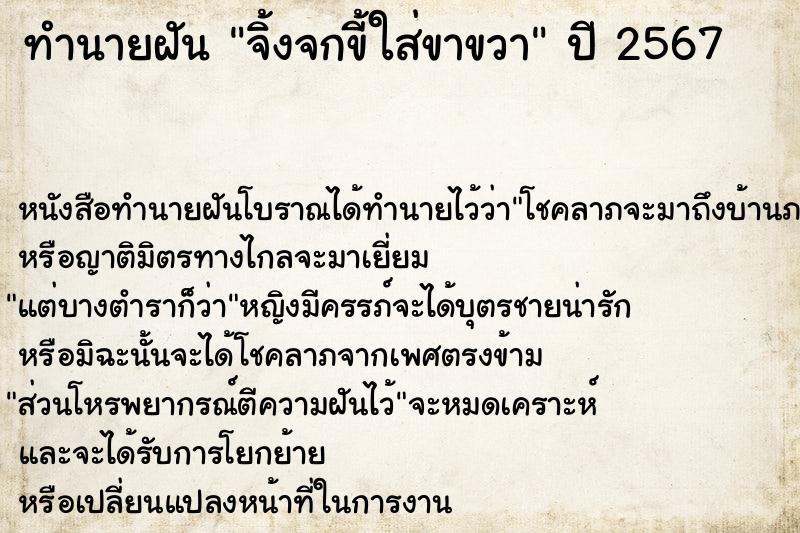 ทำนายฝัน จิ้งจกขี้ใส่ขาขวา ทำนายฝัน จิ้งจกขี้ใส่ขาขวา