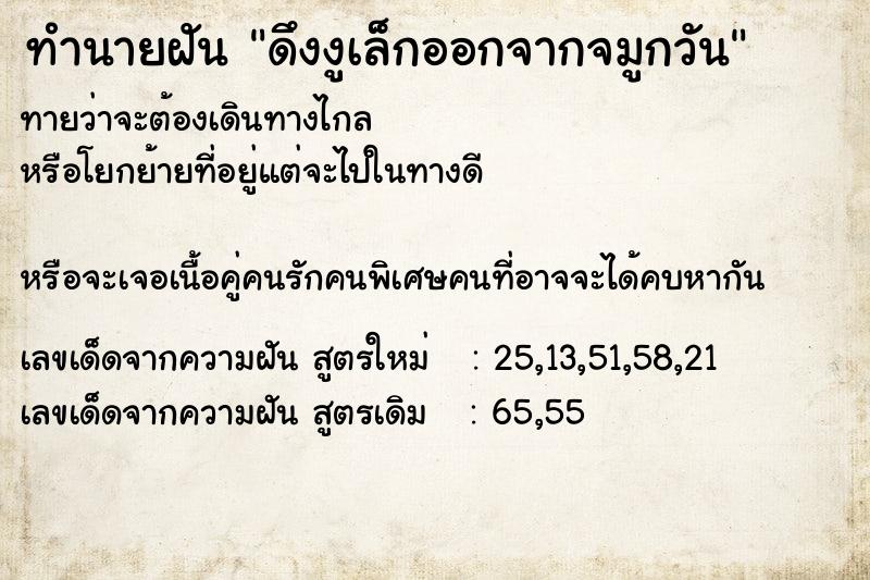 ทำนายฝัน ดึงงูเล็กออกจากจมูกวัน ทำนายฝัน ดึงงูเล็กออกจากจมูกวัน