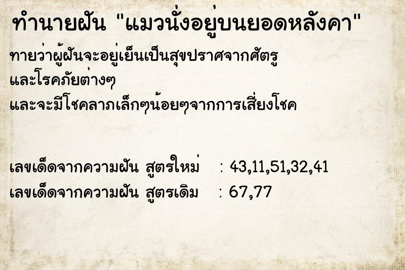 ทำนายฝันทำนายฝันแมวนั่งอยู่บนยอดหลังคา
