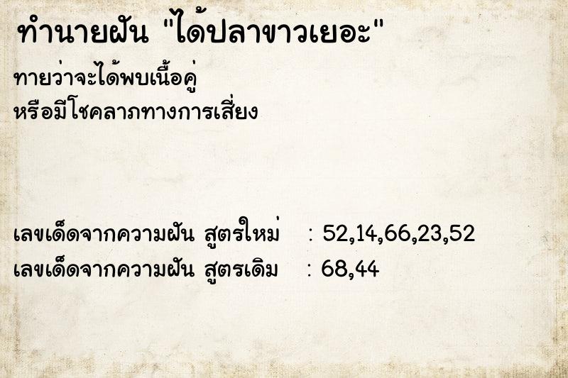 ทำนายฝันได้ปลาขาวเยอะ ทำนายฝันทำนายฝันได้ปลาขาวเยอะ