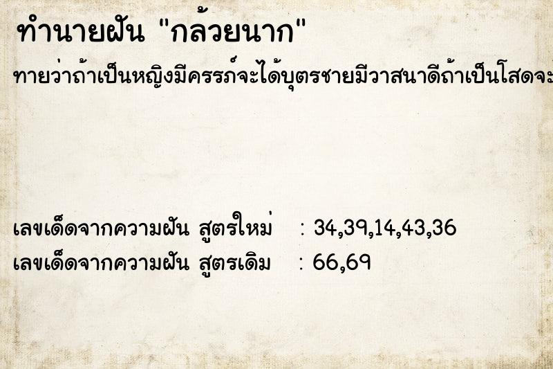 ทำนายฝัน กล้วยนาก ตำราโบราณ แม่นที่สุดในโลก