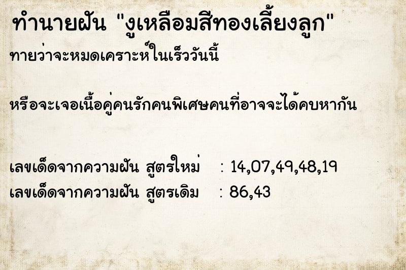 ทำนายฝันงูเหลือมสีทองเลี้ยงลูก ทำนายฝันทำนายฝันงูเหลือมสีทองเลี้ยงลูก