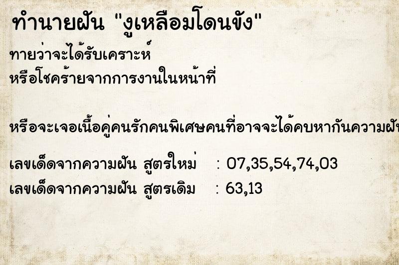 ทำนายฝันงูเหลือมโดนขัง ทำนายฝันทำนายฝันงูเหลือมโดนขัง