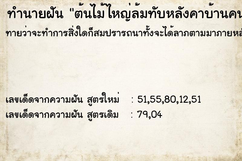 ทำนายฝันทำนายฝันต้นไม้ไหญ่ล้มทับหลังคาบ้านคนอื่น