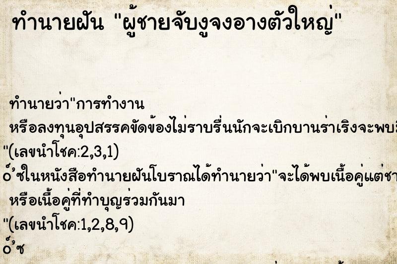 ทำนายฝัน ผู้ชายจับงูจงอางตัวใหญ่ ทำนายฝัน ผู้ชายจับงูจงอางตัวใหญ่