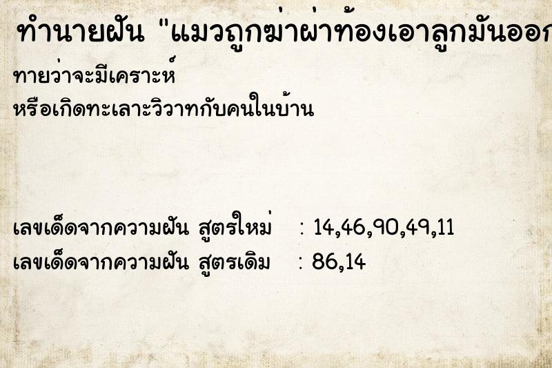 ทำนายฝันแมวถูกฆ่าผ่าท้องเอาลูกมันออกมา3ตัว ทำนายฝันทำนายฝันแมวถูกฆ่าผ่าท้องเอาลูกมันออกมา3ตัว