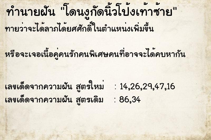 ทำนายฝันทำนายฝันโดนงูกัดนิ้วโป้งเท้าซ้าย