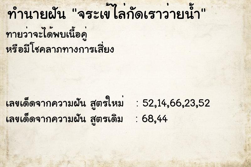 ทำนายฝันจระเข้ไล่กัดเราว่ายน้ำ ทำนายฝันทำนายฝันจระเข้ไล่กัดเราว่ายน้ำ
