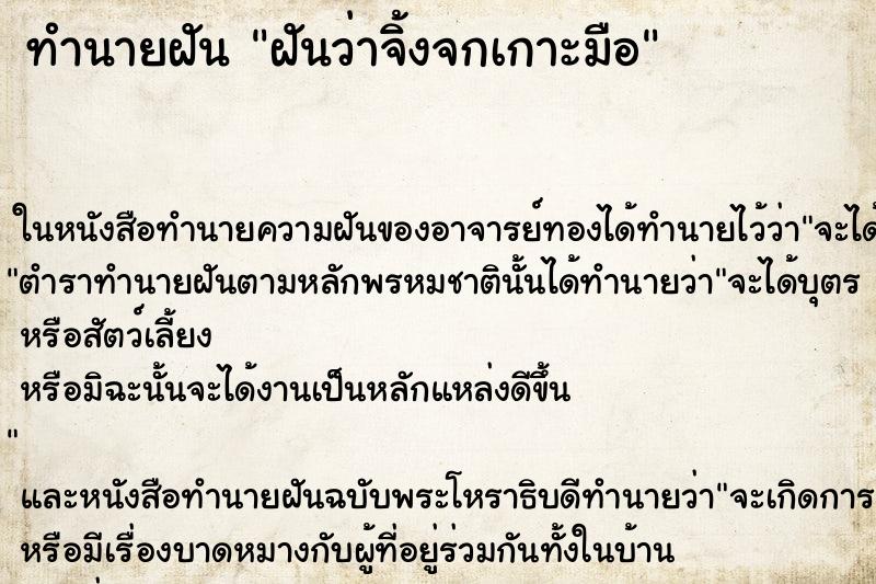ทำนายฝันทำนายฝันฝันว่าจิ้งจกเกาะมือ