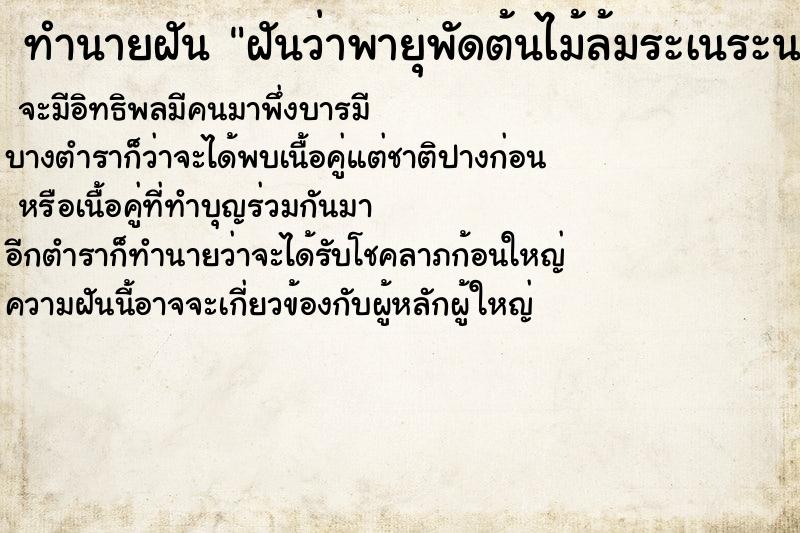 ทำนายฝันฝันว่าพายุพัดต้นไม้ล้มระเนระนาด ทำนายฝันทำนายฝันฝันว่าพายุพัดต้นไม้ล้มระเนระนาด