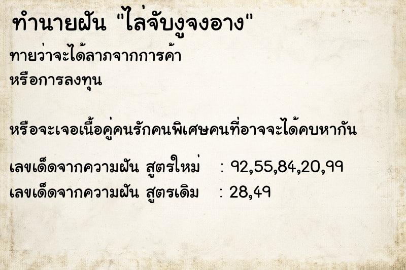 ทำนายฝันไล่จับงูจงอาง ทำนายฝันทำนายฝันไล่จับงูจงอาง