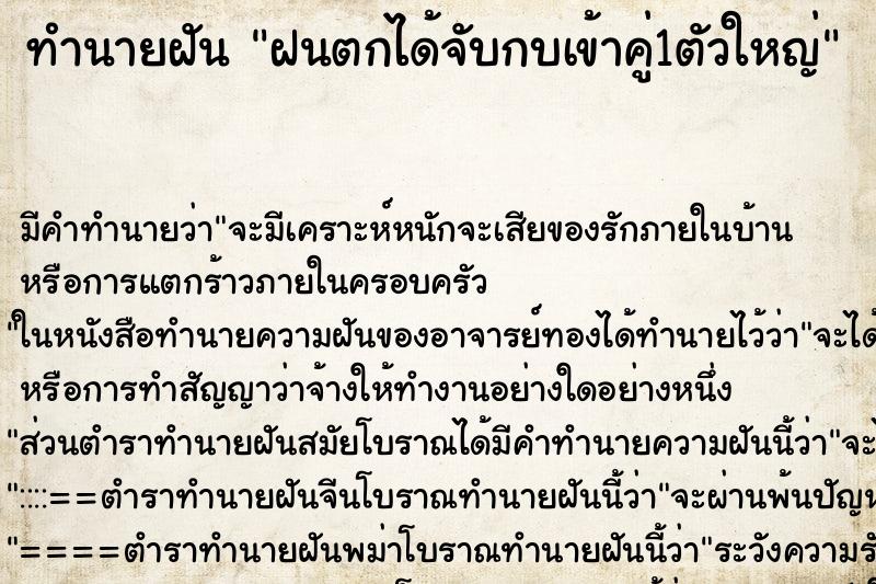 ทำนายฝันฝนตกได้จับกบเข้าคู่1ตัวใหญ่ ทำนายฝันทำนายฝันฝนตกได้จับกบเข้าคู่1ตัวใหญ่