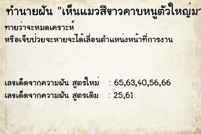 ทำนายฝันเห็นแมวสีขาวคาบหนูตัวใหญ่มาก ทำนายฝันทำนายฝันเห็นแมวสีขาวคาบหนูตัวใหญ่มาก