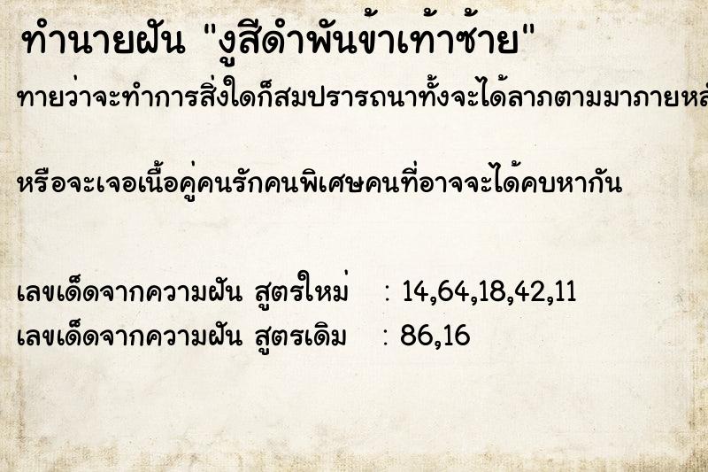 ทำนายฝันงูสีดำพันข้าเท้าซ้าย ทำนายฝันทำนายฝันงูสีดำพันข้าเท้าซ้าย