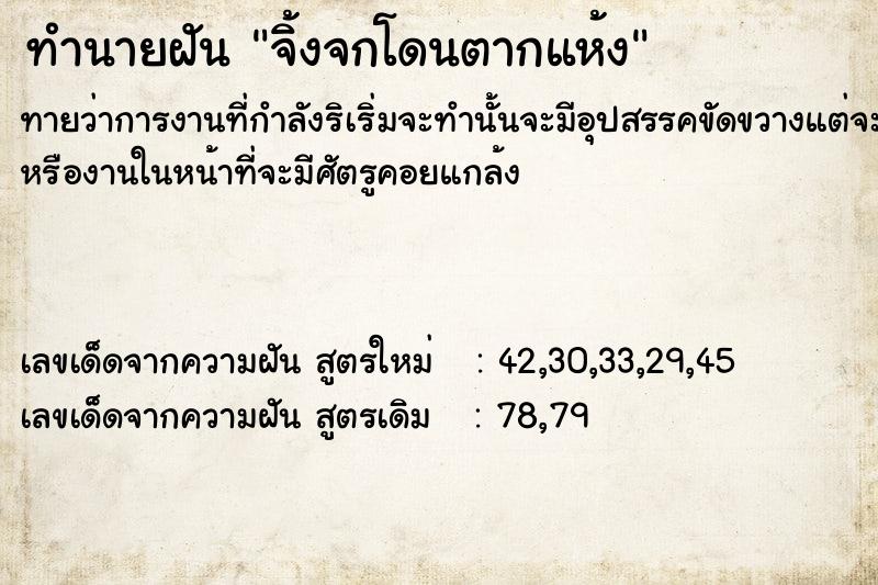 ทำนายฝันทำนายฝันจิ้งจกโดนตากแห้ง
