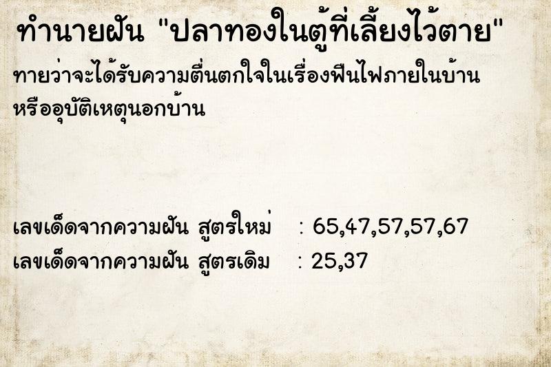 ทำนายฝันปลาทองในตู้ที่เลี้ยงไว้ตาย ทำนายฝันทำนายฝันปลาทองในตู้ที่เลี้ยงไว้ตาย