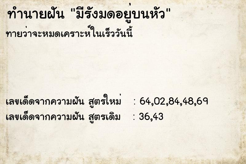 ทำนายฝันมีรังมดอยู่บนหัว ทำนายฝันทำนายฝันมีรังมดอยู่บนหัว