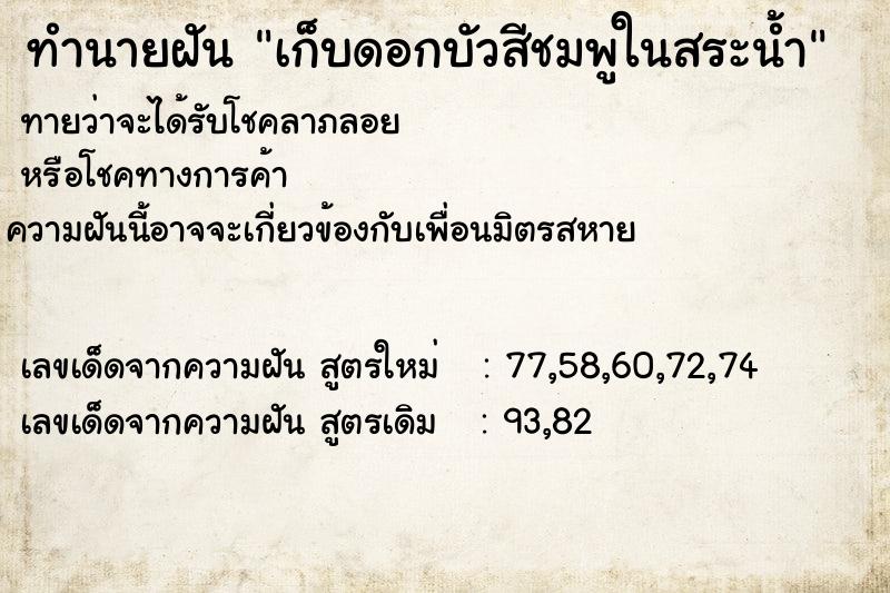 ทำนายฝัน เก็บดอกบัวสีชมพูในสระน้ำ ทำนายฝัน เก็บดอกบัวสีชมพูในสระน้ำ