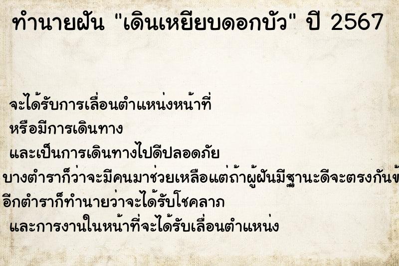 ทำนายฝันเดินเหยียบดอกบัว ทำนายฝันทำนายฝันเดินเหยียบดอกบัว
