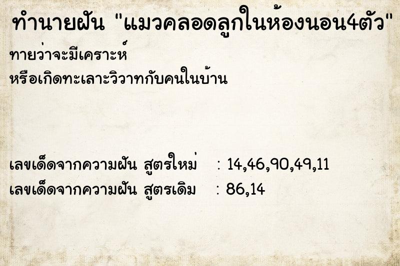ทำนายฝันแมวคลอดลูกในห้องนอน4ตัว ทำนายฝันทำนายฝันแมวคลอดลูกในห้องนอน4ตัว